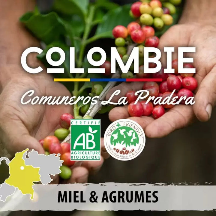 Café en grain Colombie Comuneros La Pradera BIO – Notes Miel & Agrumes – Pfaff - 250g