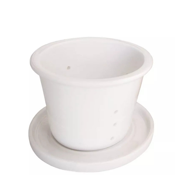 Infuseur en porcelaine blanche – Thés à grandes feuilles