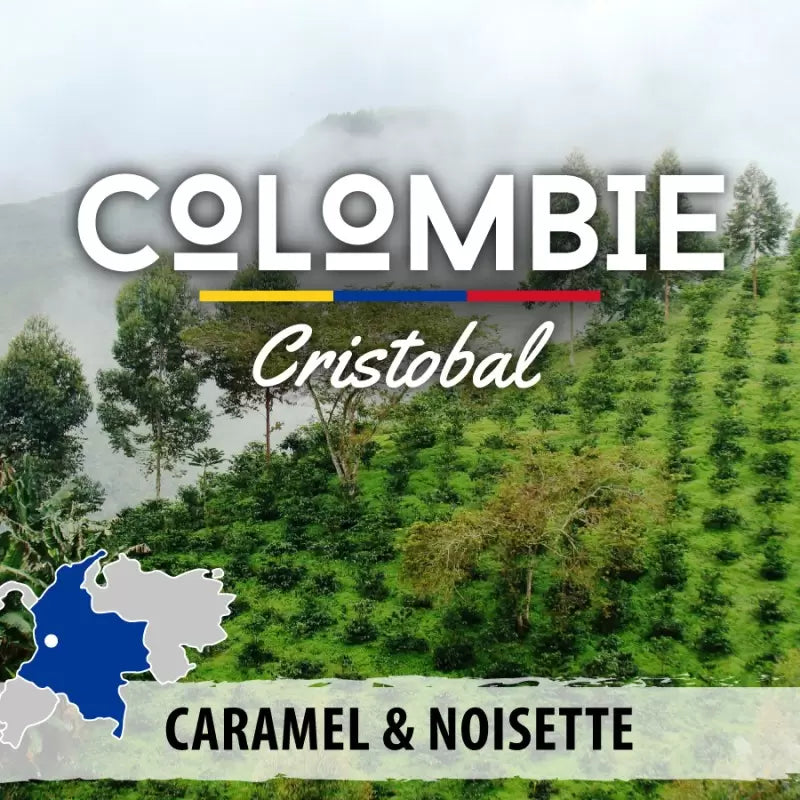 Café en Grain Colombie - San Cristobal - Pfaff - 250g
