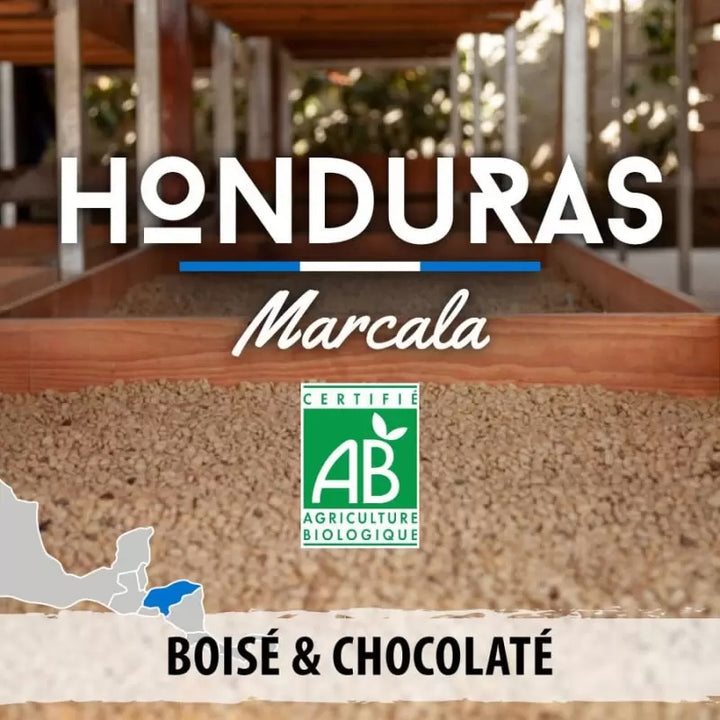 Café en grain Honduras - Marcala Ceiba BIO - 250gr