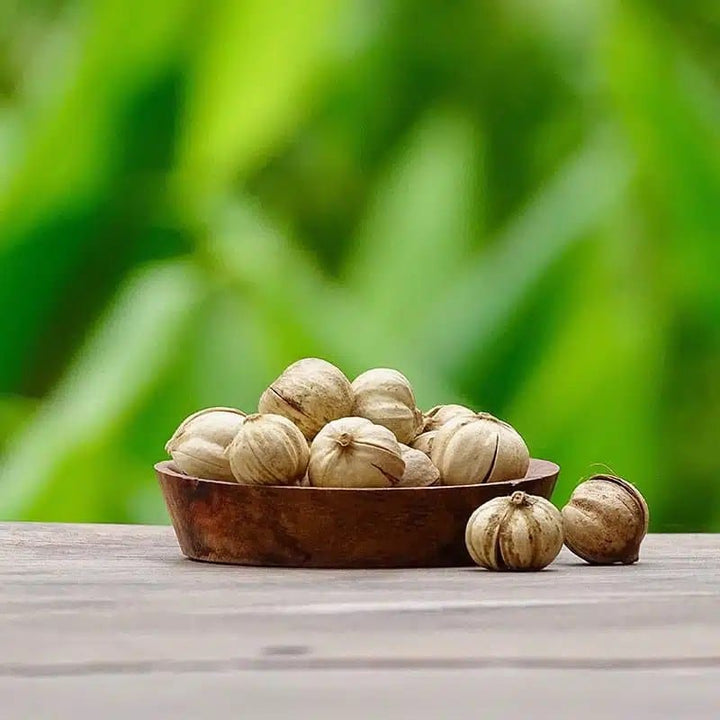 La Plantation Épices La Plantation - Cardamome sauvage- tube 15g