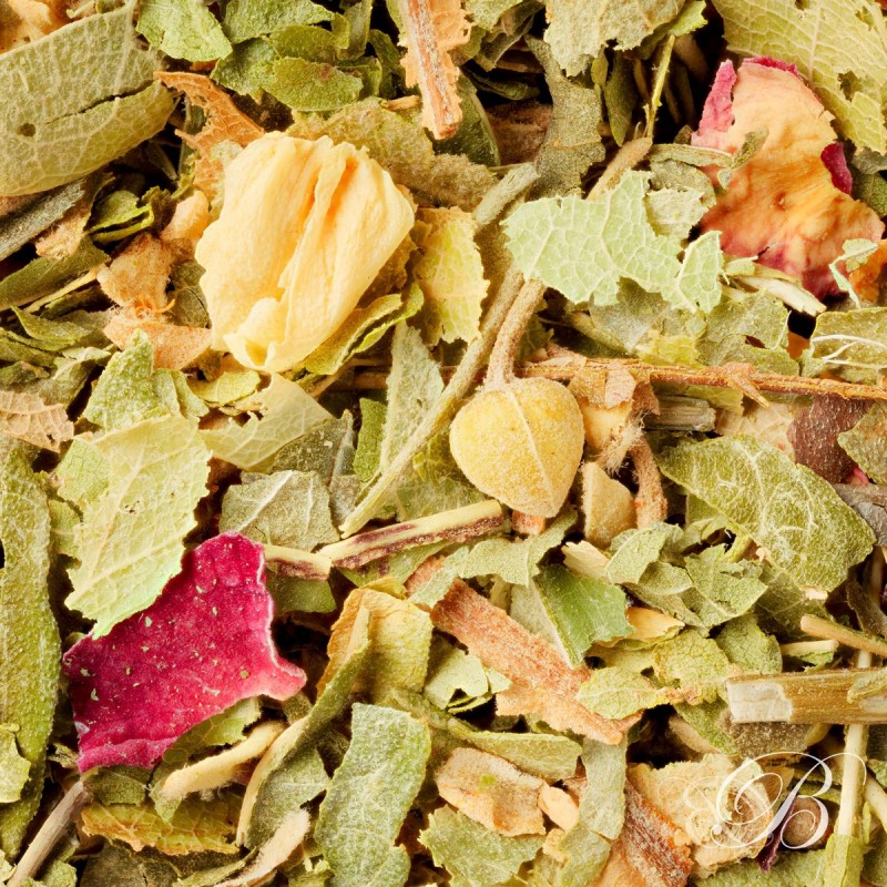 Tisane des Invités